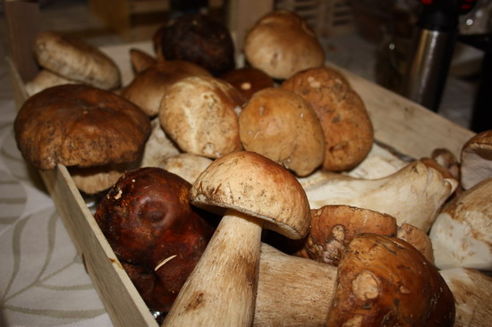 funghi porcini della Sila al Ristorante il Focolare di Roma