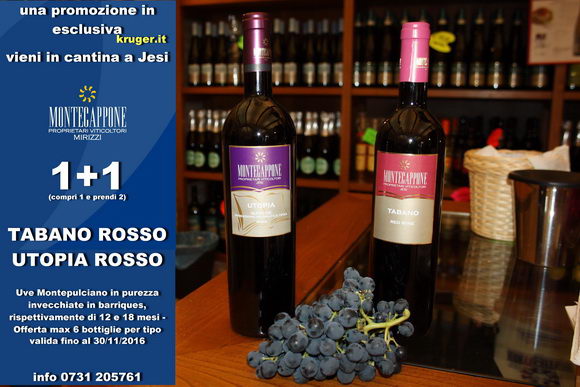 Vini di Montecappone promozioni rossi