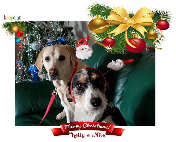 Kelly Milo Natale 2018