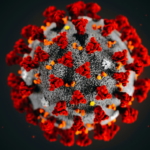 CoronaVirus