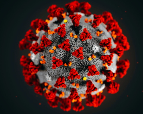 CoronaVirus