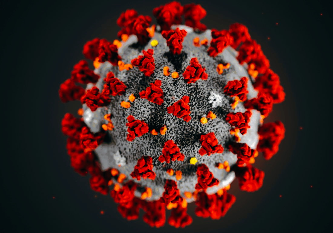 CoronaVirus