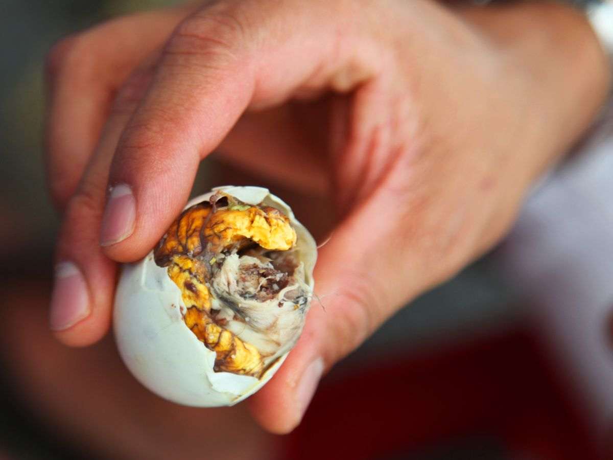 balut filippino