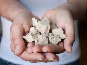 donna tiene in mano lievito sbriciolato