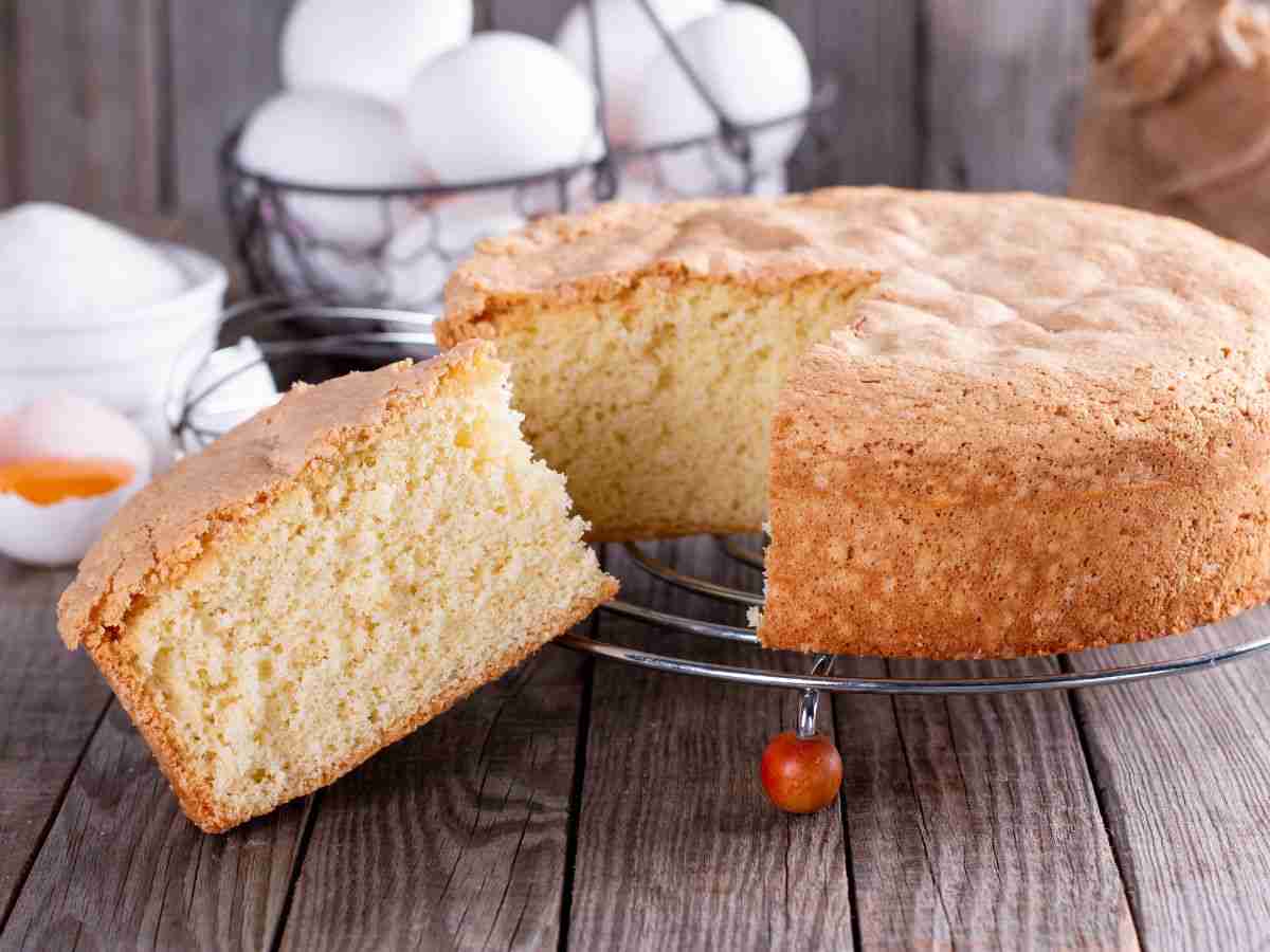 pan di spagna semplice