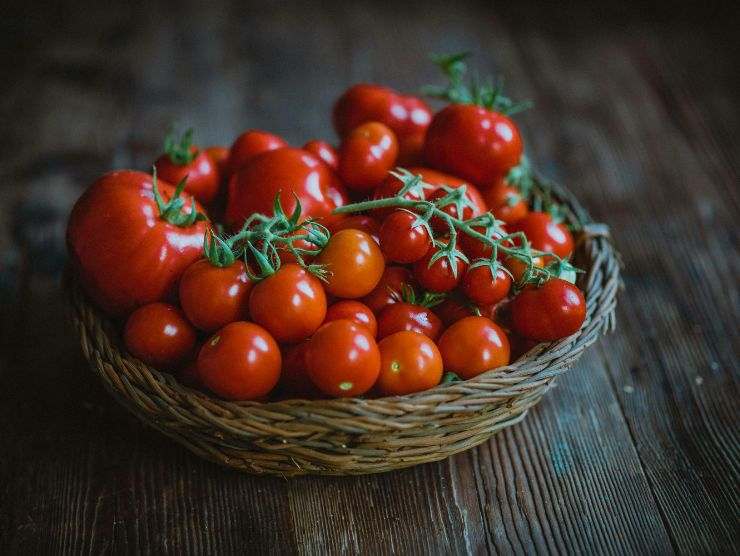 pomodorini
