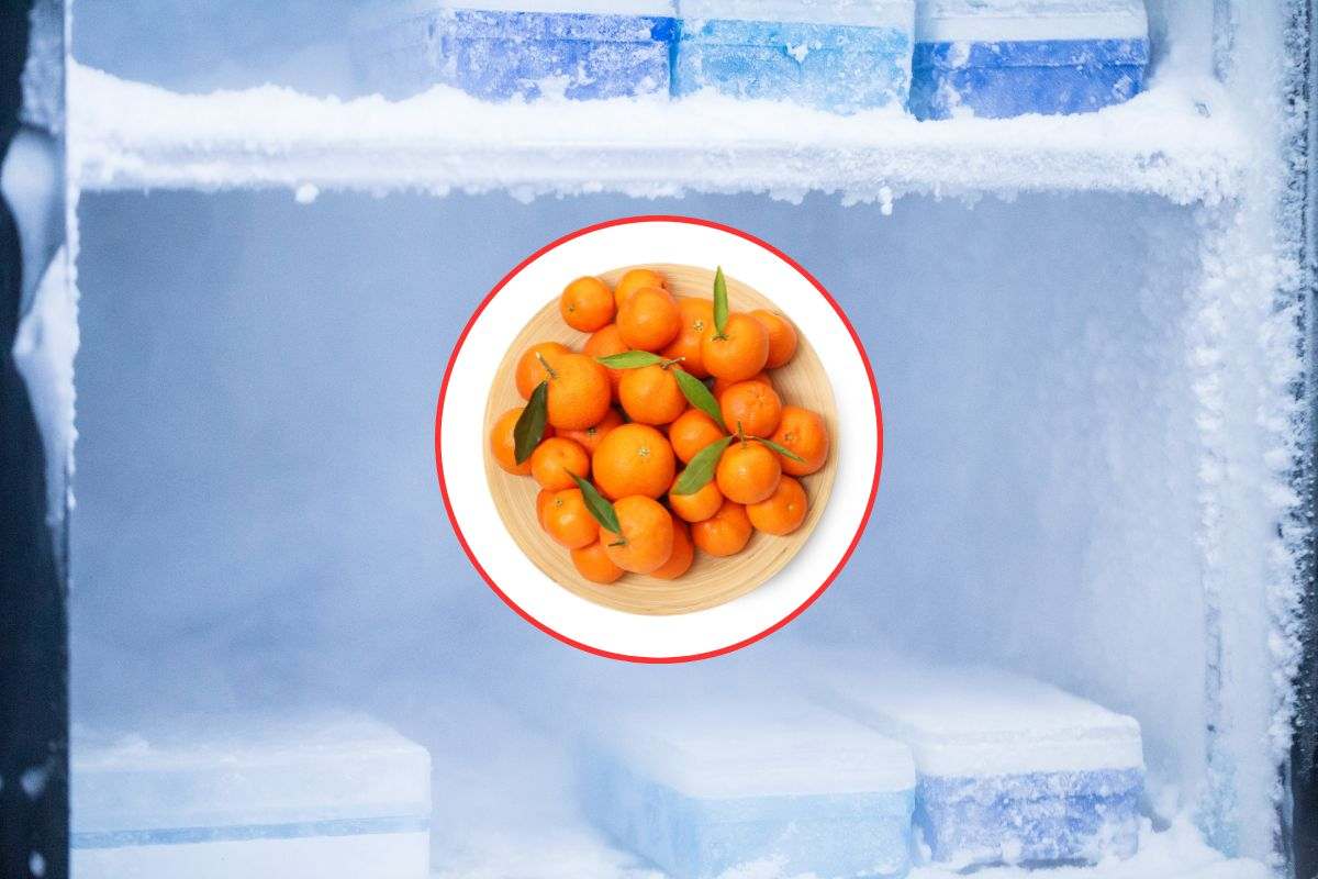 arance nel freezer