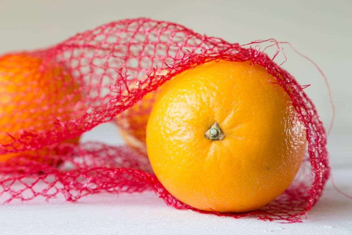 arance nella retina arancione